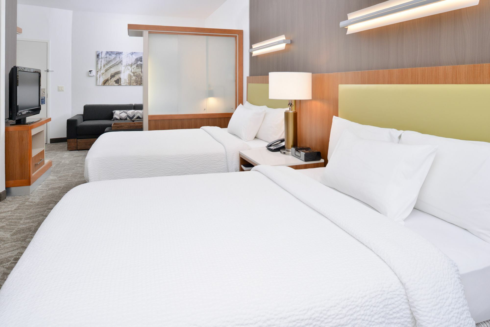 Springhill Suites Ashburn Dulles North Dış mekan fotoğraf